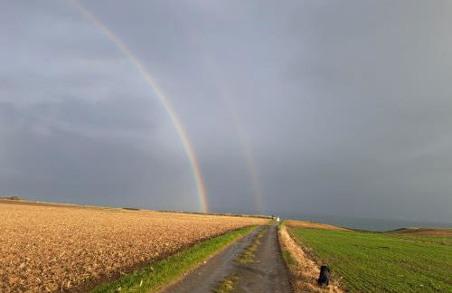 Toute une Histoire - Foto 38