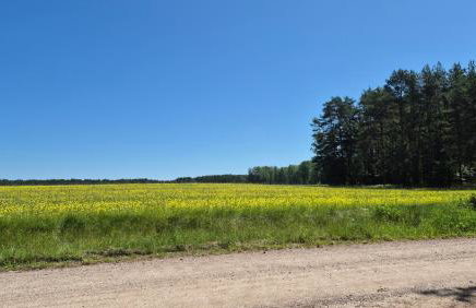 Domek Konrad - balia ogrodowa dodatkowo płatna - Foto 50