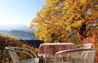 Ferienwohnung Fürstenkopf - Foto 44