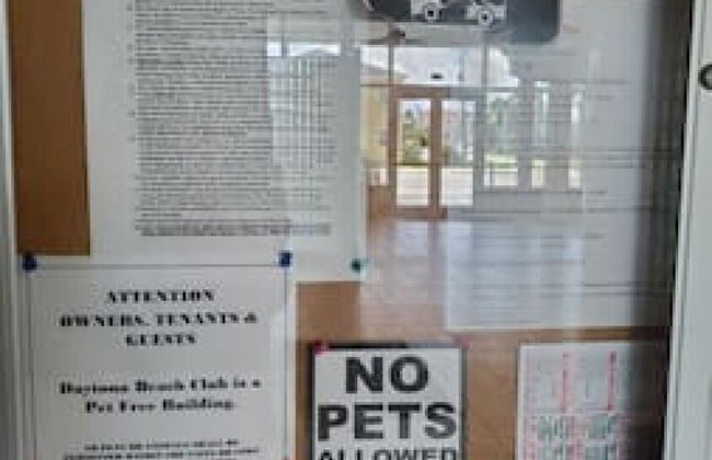 613 3 Beds Luxury Beachfront Studio Ideal 4 Long Stays - Foto 57