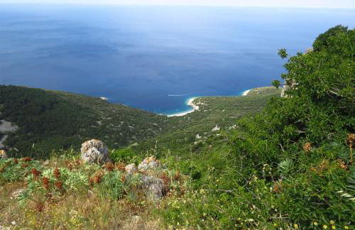 Apartman Biba - Foto 27