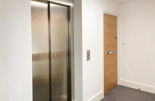 Forest Acorn - Foto 28