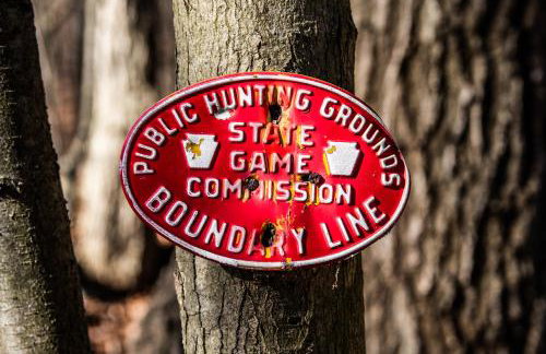 Historic Sears River Home (Main Level) on 10 Acres - Foto 4