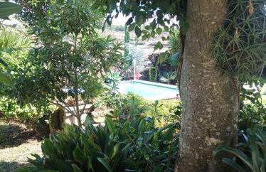 Casa do Plátano - Photo 62