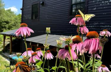 The Disco Den on Toad Road - Photo 17