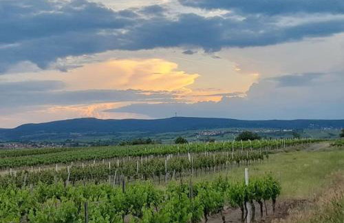 Willkommen in Weisenheim am Sand - Foto 17