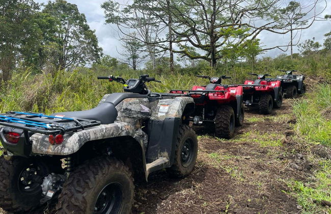 Hawaii Island Quad Bike Tour - Photo 7