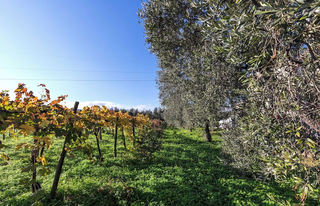 Agriturismo Posta Pastorella - Foto 71