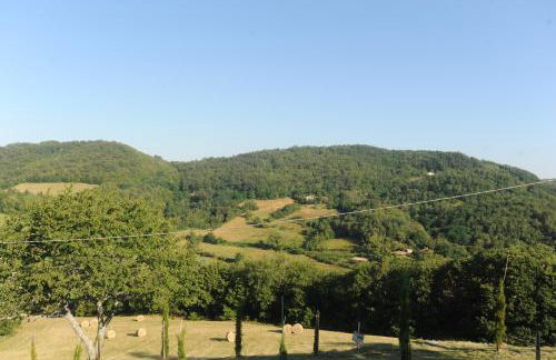 La Collina Zocca - Foto 28