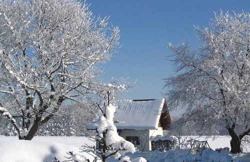 Alluring Holiday Home in Ubersee With Whirlpool - Foto 13