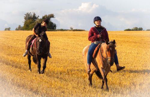 Meislahnhof Fehmarn - Foto 55