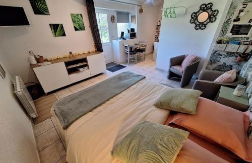 Studio 11, Draps, Linge, Wifi # Longère Bretonne#Morbihan - Foto 1