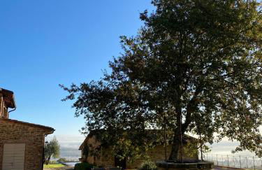 Podere Cavalbianco - Foto 36