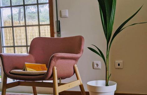 The Palm House - Foto 7