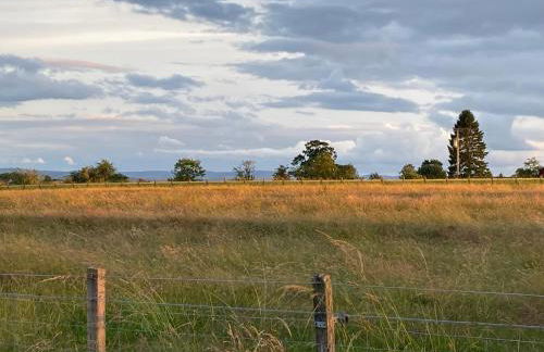 The Hive at Bee Happy Breaks Scotland - Photo 9