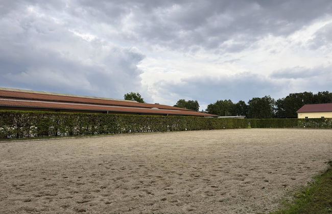 Cozy Holiday Home on a Horse Farm in the Luneburg Heath - Foto 36