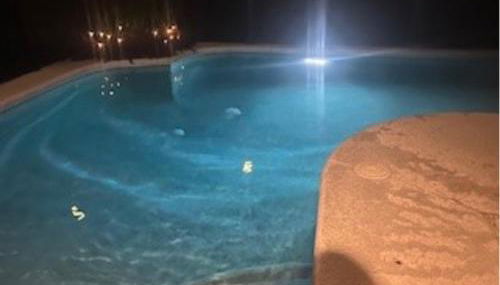 Luxury Villa - 75 inch smart TV, Upgrades throughout! 20 minutes to Disney - Foto 5