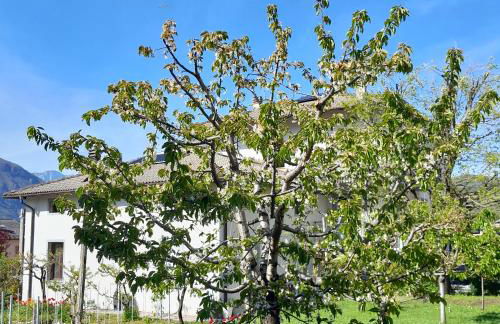 Appartment Lodged Mamma Maria - Foto 24