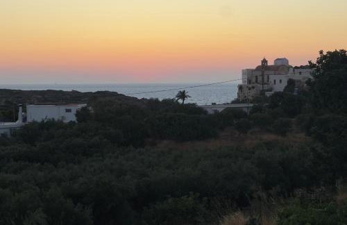 Thea Studio - Foto 16