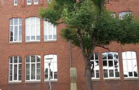 Silvia Busche - Photo 13