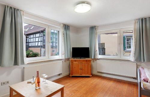 Ferienwohnungen Diefenbach - Foto 32