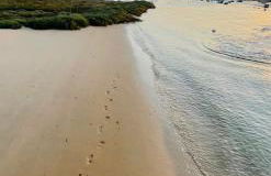 Amazing beach bliss 2br w/private sea view terrace - Photo 40