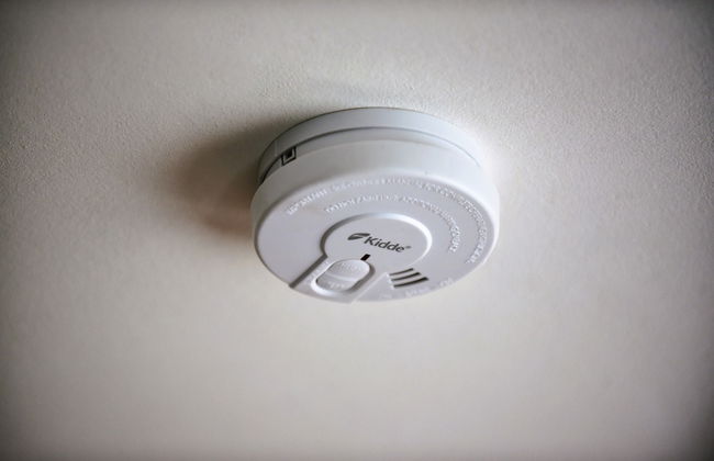 Papaya Dreams - Foto 23