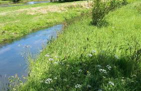 Gîte LES CHANTS DU CREPUSCULE - Foto 30
