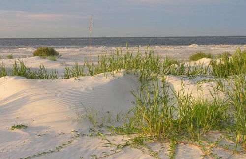 Beautiful home with modern conveniences - close to the beach, dogs welcome - Foto 49