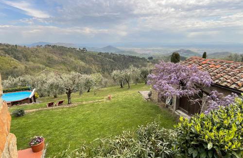 Podere il Poggio - Foto 13