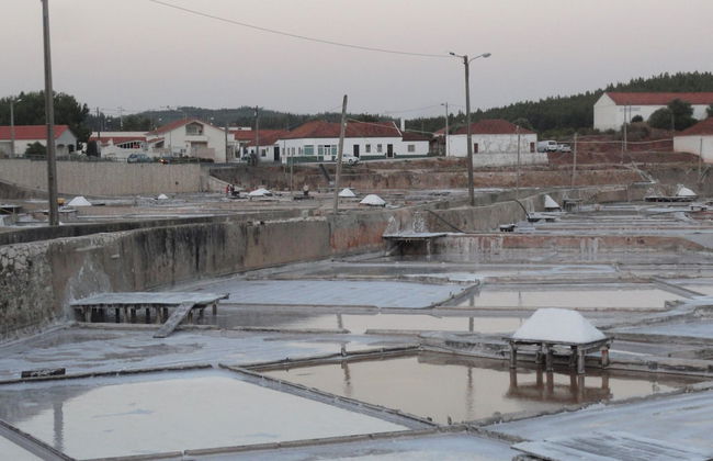 Oceanview Cliff Retreat - Photo 58