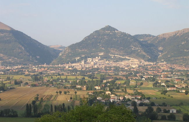 Azienda Agraria Montelujano - Photo 34