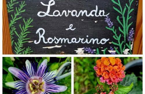 cottage lavanda e rosmarino - Foto 19