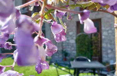 La Masera Holiday - Oliveto - Photo 15