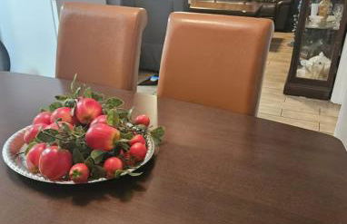 Family size house - Foto 18