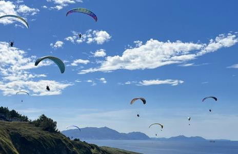 El Retoño - Photo 26