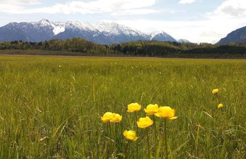 Holiday apartment with 2 bedrooms - Foto 29