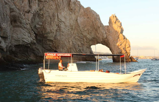 Cabo San Lucas Boat Trip & Snorkelling - Photo 2
