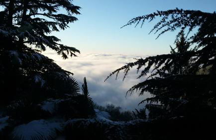 Il Parco e gli Affreschi - Foto 62