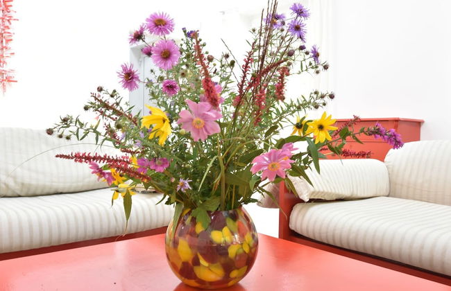 Holiday Home in Khlungsborn With Garden - Foto 17