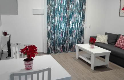 Apartamento Centro Sol Plazuela - Foto 11