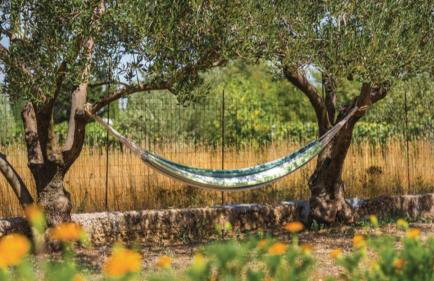 Olive Tree House with Jacuzzi, WiFi and 40m2 pool - Foto 41