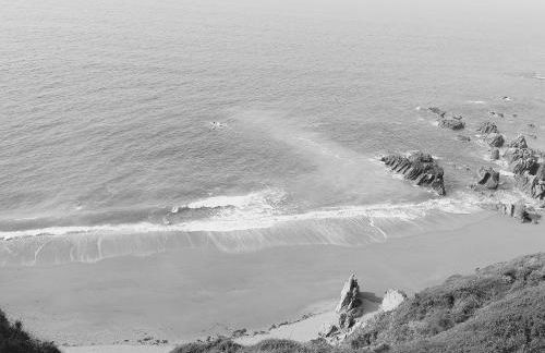 Trewebster - Photo 50