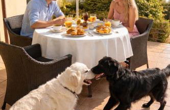 Baba Residences - Foto 10