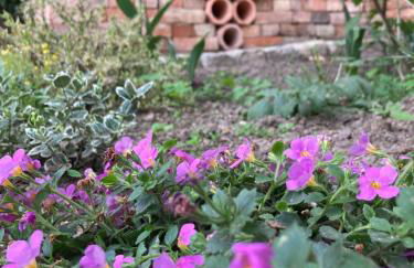 Gästehaus Geiseltalsee - Foto 22