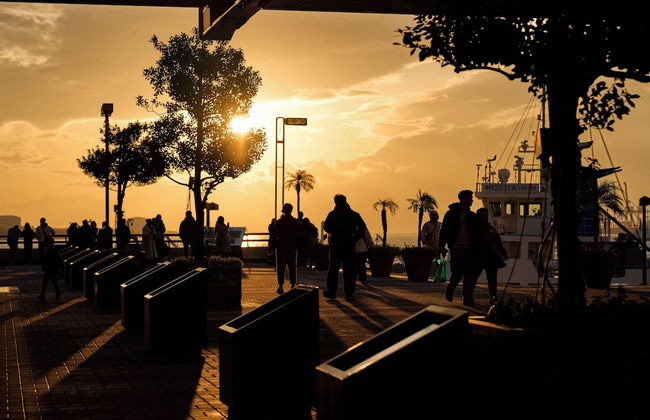 KONJAKUSO Osaka Tempozan KANOH SHOHAKU - Foto 47