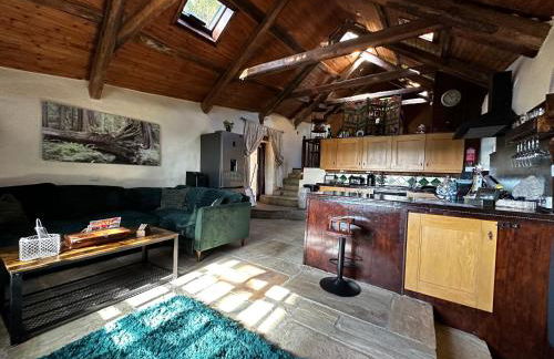 Coed Y Ddraig - themed 3 bedroom cottage, with bar & pool table - Photo 23