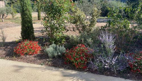 lagalerie84 - Photo 5, Garden