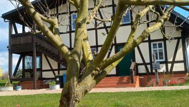 Oderbruchhütte - Foto 2