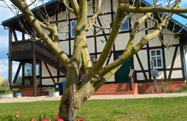 Oderbruchhütte - Photo 2